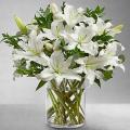 Tuggerah Florist Tuggerah Beautiful flowers Central Coast NSW Australia